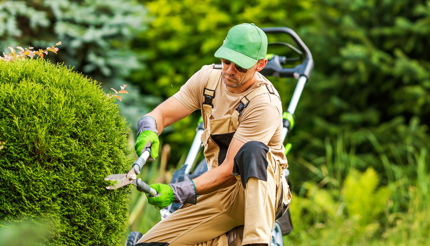 Landscaping Insurance Texas