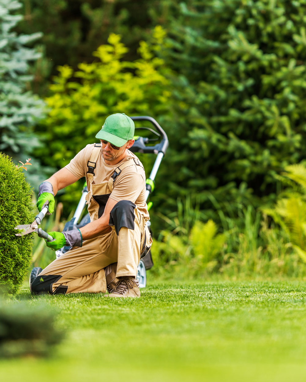 Landscaping Insurance Texas